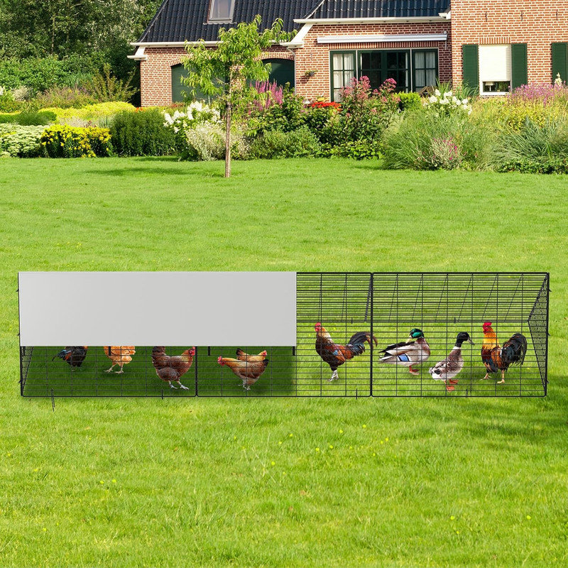 Chicken Fencing