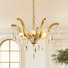 Lustre empire 5 lumières à intensité variable avec accents de cristal, chaîne réglable et têtes pour salles à manger