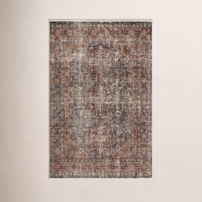 Clemente Washable Oriental Indoor Rug