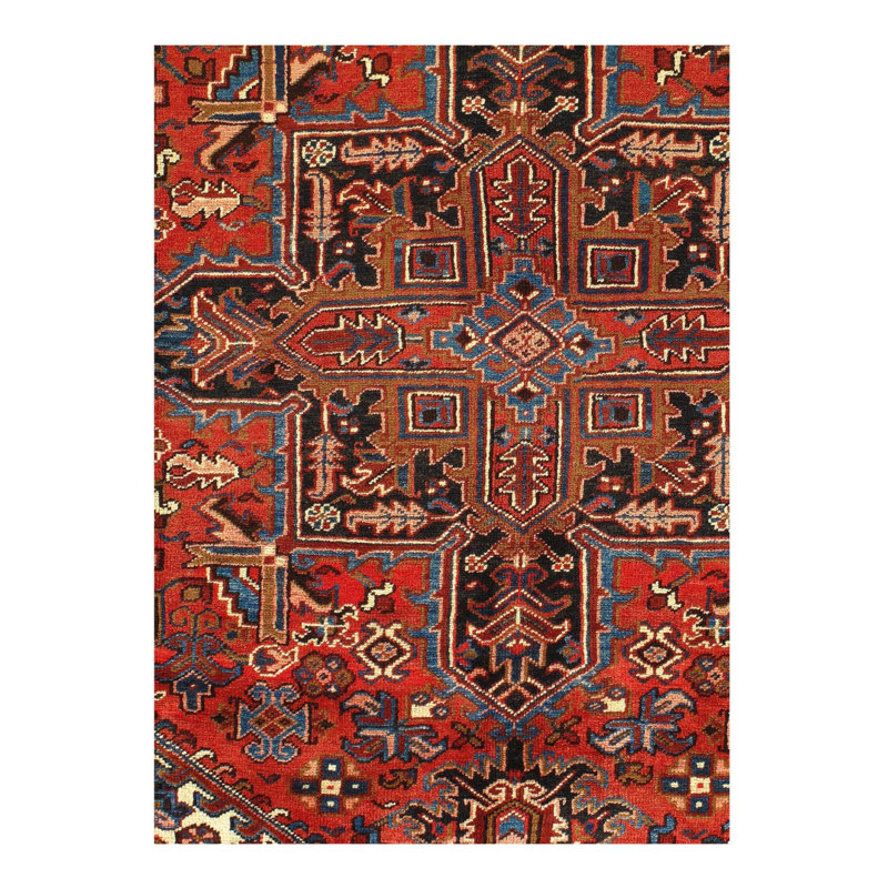 Oriental Area Rug