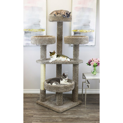 Tour pour chat Maine Coon