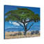 Groupe d'éléphants d'Afrique sous un arbre, art mural extérieur-431184679