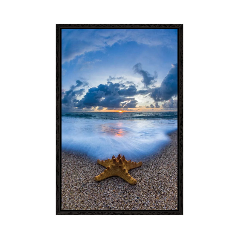 Starfish Sea Foam by Sean Davey - Print on Canvas, 66.04cm H x 45.72cm W x 3.81cm D, Black Floater Framed