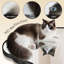 Miroir mural ovale-245446262-245446263