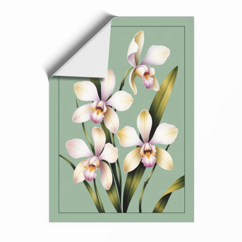 Orchid Study In Bloom Botanical - Print, Unframed, A1 - 84.1 x 59.4 cm
