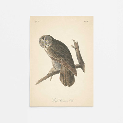 Impression d'un hibou perché dans un
