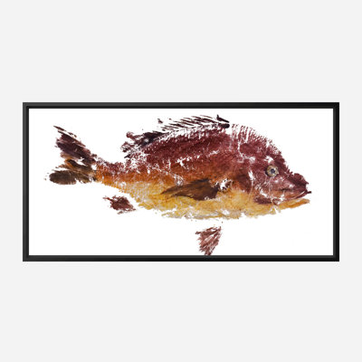 Red Fish I By John Beard - Framed Gallery Wrapped Canvas Print
