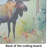 Moose Glass Cutting Board Large