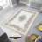 Stylish Woven Carpet, 4 x 6 Feet, 100% Polyester | Antibacterial, 3D Digital Printing, Non-Slip PVC Felt Dot Underside | Machine Washable, 0.4 in Pile Height, Perfect for Living Room & Bedroom Decor-1912705096