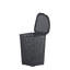 Jaliyah Plastic Laundry Hamper with Handles-1776210967