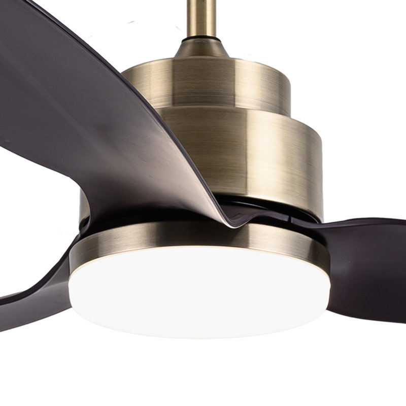 Bilodeau 142cm Ceiling Fan with LED Lights