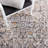 Mayflower Performance Oriental Rug-435872891