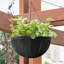 Elevated Planter
