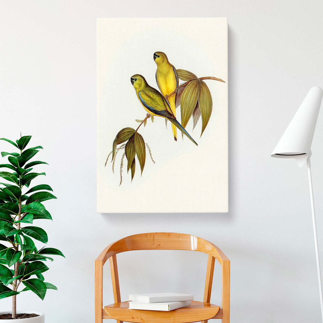 Rock Grass-Parakeets by Elizabeth Gould - Wrapped Canvas