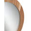 Shenandoah Flat Wall Mirror