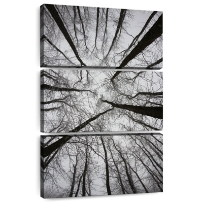Forêt sombre Harnek