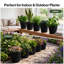 Plant Stand