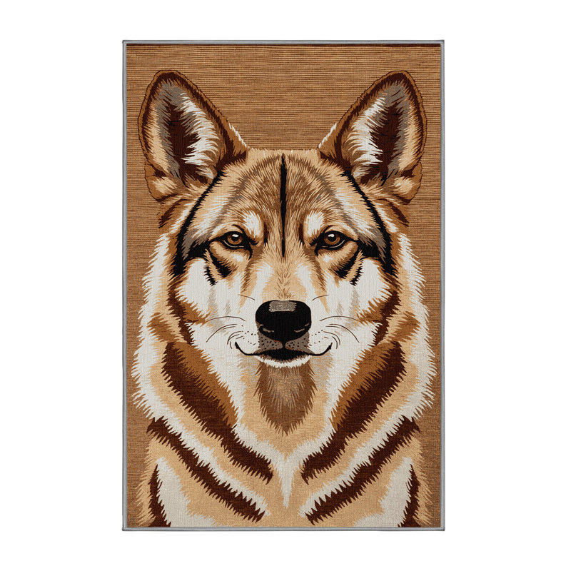  Tapis lavable Dingo, Rectangle 4pi x 6 pi