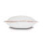 Rena Linen Square Pillow Cover & Insert-64399895