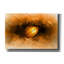 «Seed» par Ata Alishahi-1102308679