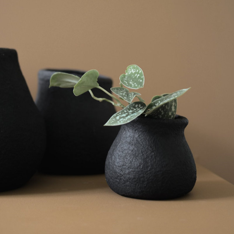 Vase de table Baum, L 3,93 po x P 3,93 po