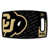 Colorado Buffaloes