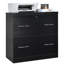 Jye 74 cm W 2 -Drawer Filing Cabinet-2030297055