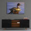 «Lone Pintail» par Mark Mueller, art animalier-101650934