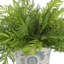 Melra Faux Fern Plant in Ceramic Vase