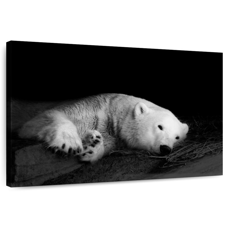 Ours polaire endormi, H 34 po x l 51 po