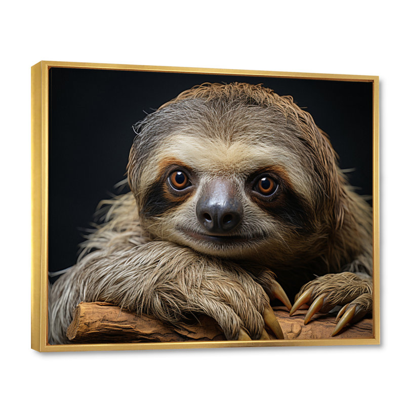 Cute Sloth Portrait - Sloth Wall Art, Gold Floater Framed, 30" H x 40" W