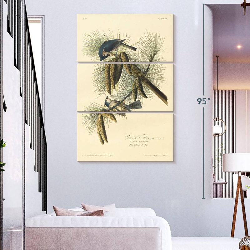 Brampt Crested Titmouse, 74" H x 48" W