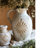 Siegert Handmade Ceramic Jar-1326765525