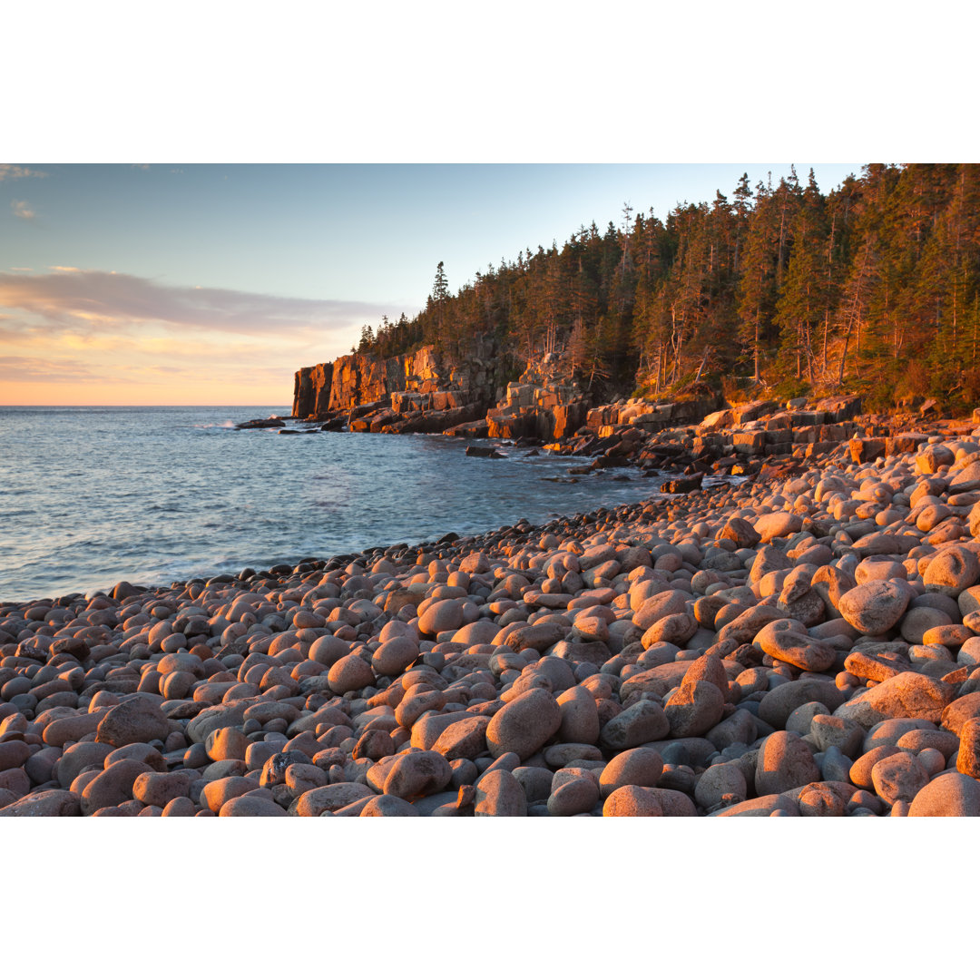 Otter Cliffs Seascape von KenCanning - Kunstdrucke auf Leinwand