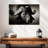 Brampt Wild African Buffalo-108697939
