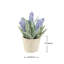 13cm Plant