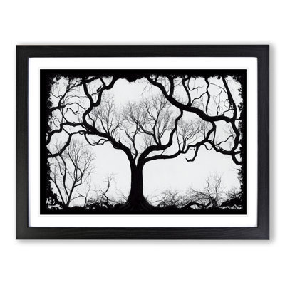 Striking Tree - Single Picture Frame Print