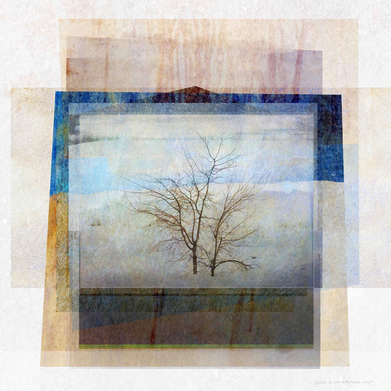 « solitaire tree photomontage » par chris exercice, reproduction d’art sur toile tendue, H 48 po x l 48 po x P 1,5 po