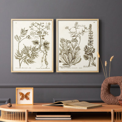 «Sepia Botanical Journal III», reproduction encadrée de qualité supérieure - prête à être accrochée - aucun clou requis - aucun clou requis