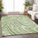 Premium Machine Washable Prisco Aloe Rug
