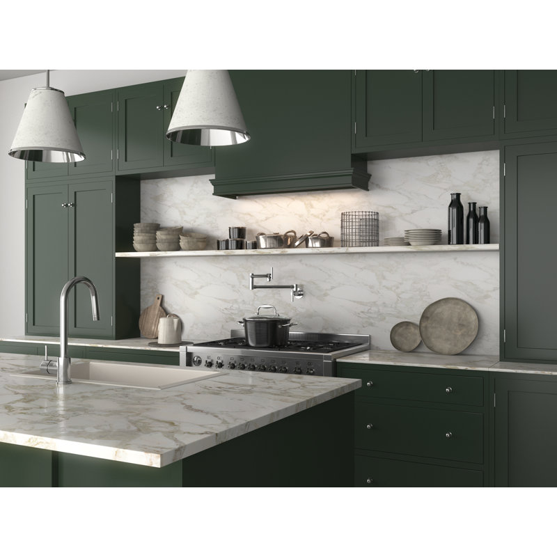 Robinet remplisseur mural ANZZI Braccia Series 24 "avec accessoires, Chrome poli