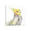 Art sur toile perroquet-52153774-52153775