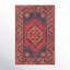 Isthia Oriental Red/Blue/Orange Area Rug-97270279