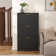 Shoe Storage Cabinet with 3 Flip Drawers