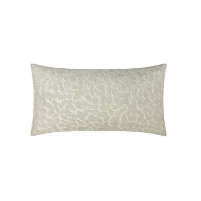 Velvet Pillow Cover & Insert