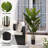 Indoor/Outdoor/Décor Artificial Tree UV Resistant Faux Palm Tree Plant in Pot in Basket in Planter