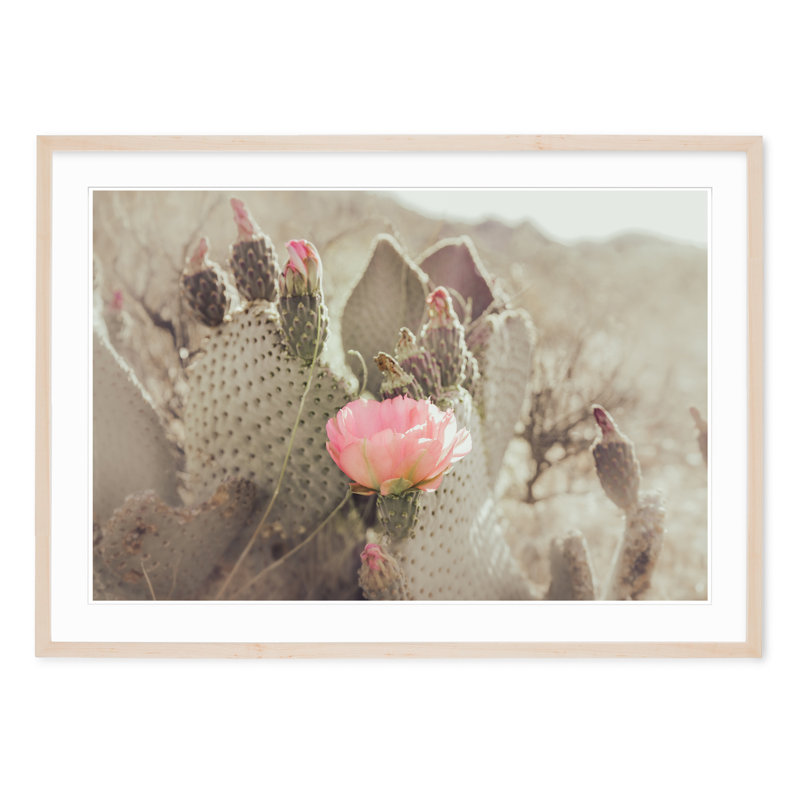 Cactus Blossom, 29" H x 40" W, Black