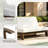 Polett Teak Wood Patio Outdoor Armless Lounge Chair-523763699-523763693