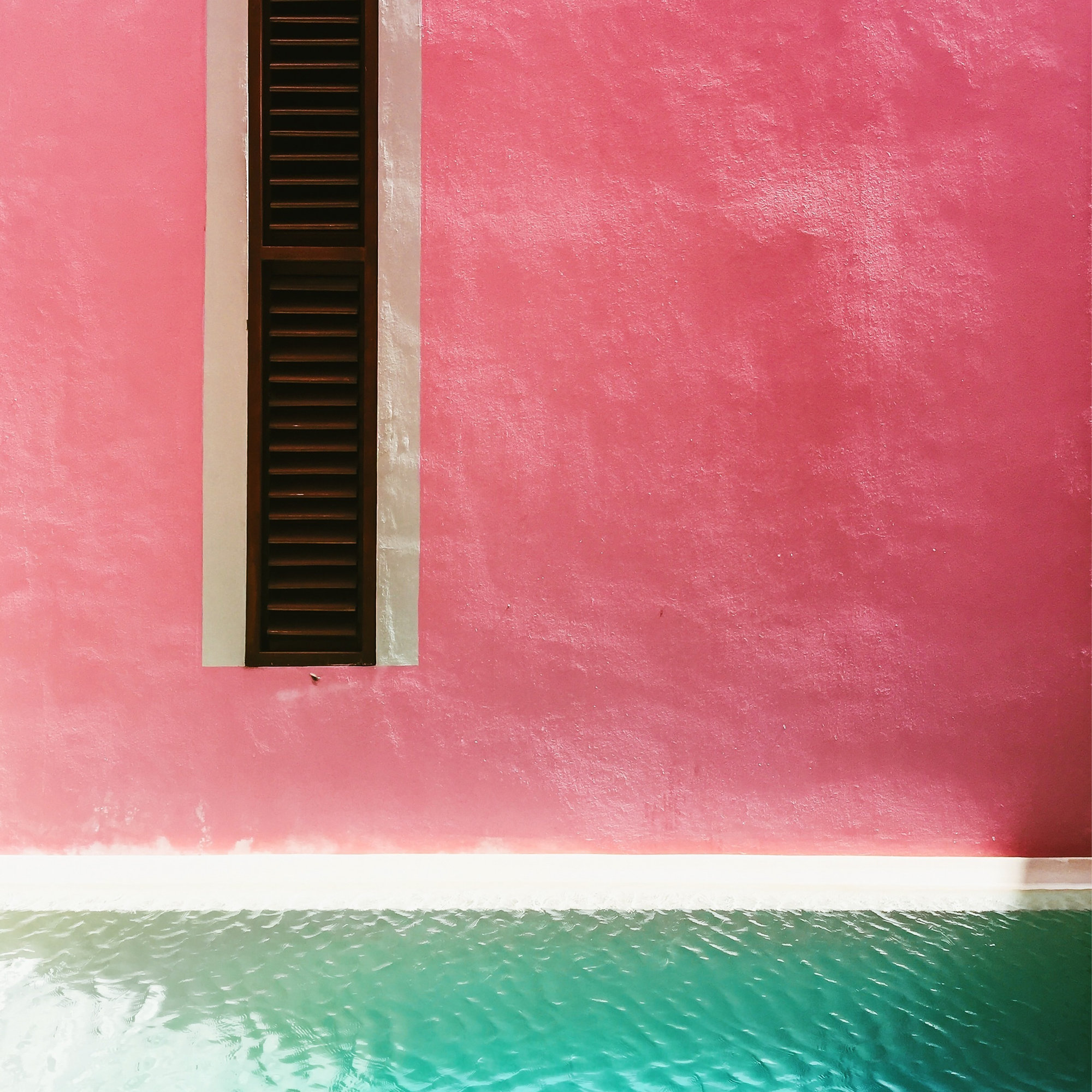 Mexican Pink Rosa Mexicano by Romana Lilic / LA76 Photography, Black Floater Framed, No, 12" H x 12" W x 2" D