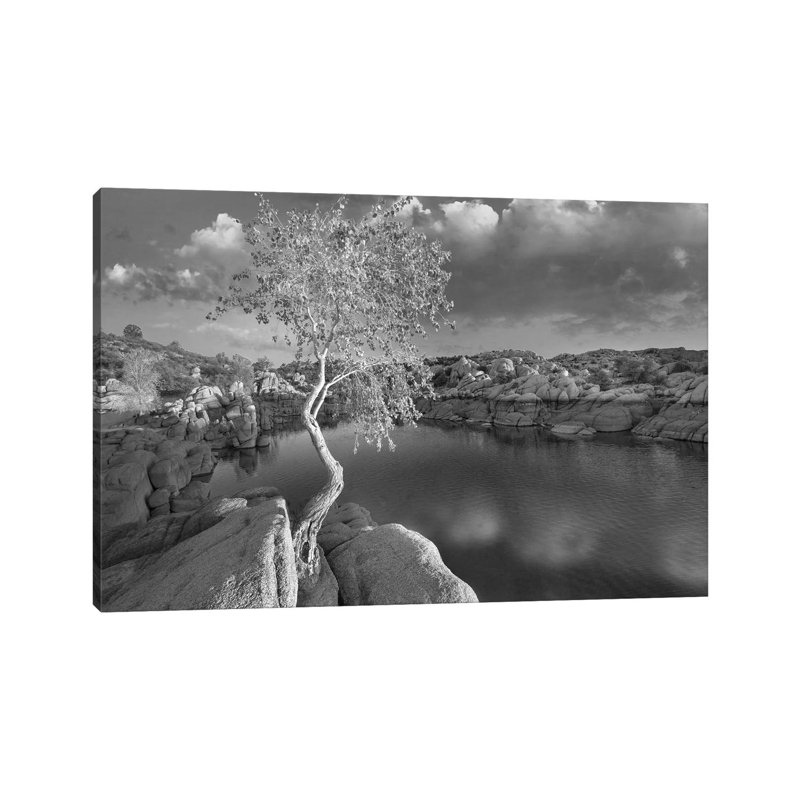 Cottonwood Growing In The Granite Dells, Watson Lake, Arizona by Tim Fitzharris - Wrapped Canvas Gallery-Wrapped Canvas Giclée